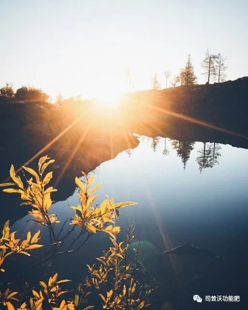 1619063748183808.png image.png