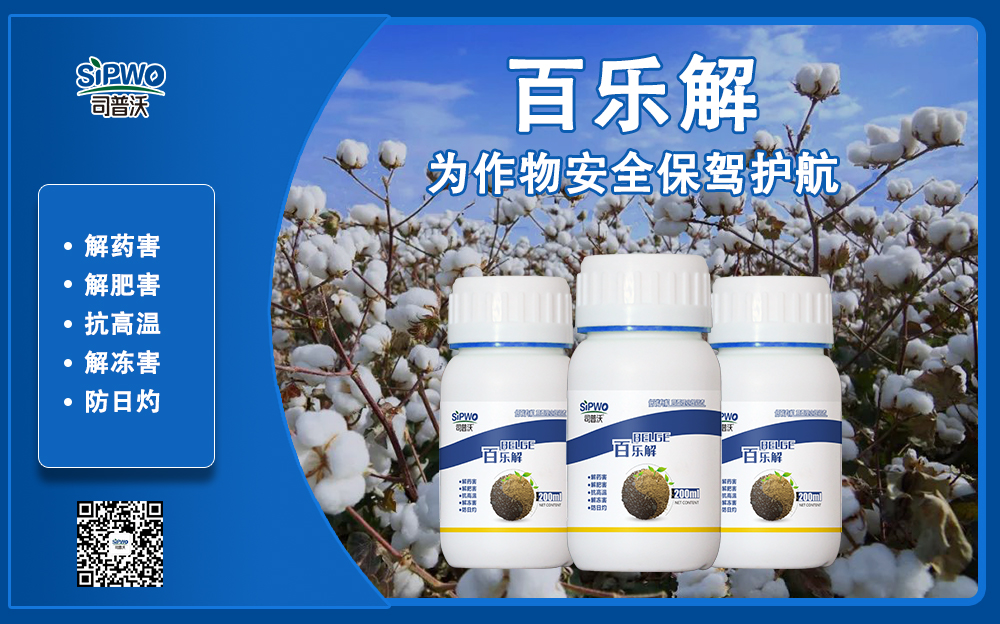 1639550536177167.jpg 棉花(huā)百樂(yuè)解1-1.jpg