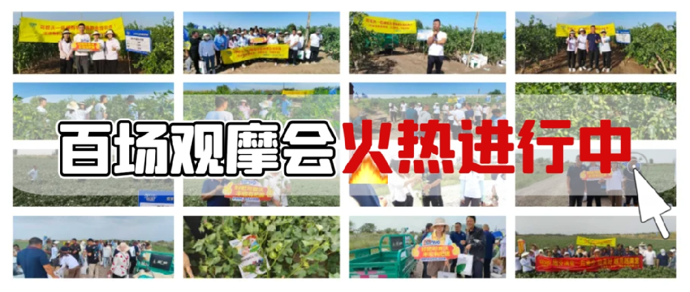 司普沃盛啓百場(chǎng)觀摩會(huì),**檢驗産品熱(rè)潮正當時(shí)