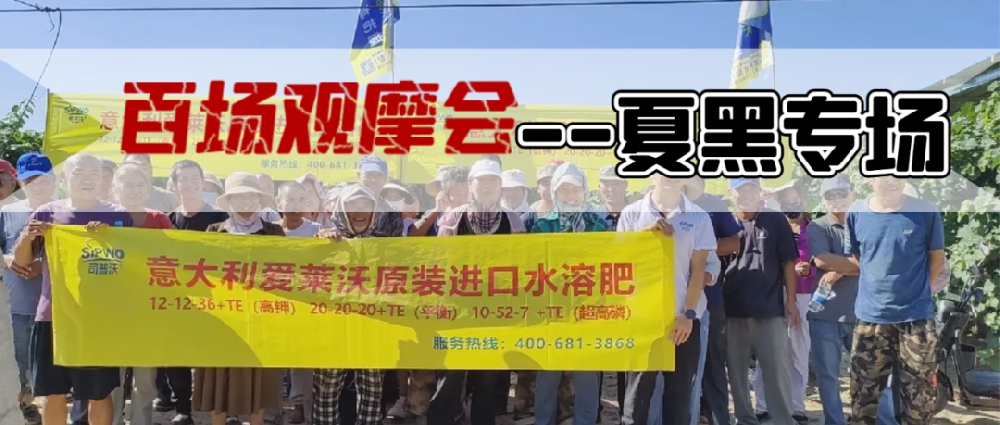新疆博樂(yuè)地(dì)區(qū)夏黑(hēi)葡萄觀摩會(huì)圓滿成功,司普沃功能(néng)肥閃耀全場(chǎng)